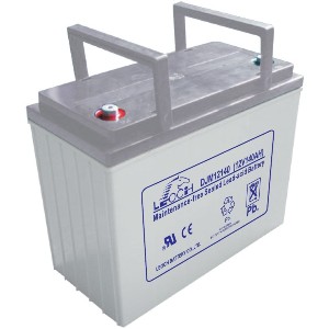 ����������� Leoch DJM 12140